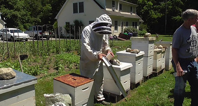 June 2022 01 Hive Inspections