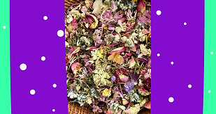 Dried Flowers Gifts Home Decor 💐