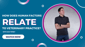 What is the link between Human Factors and the veterinary profession?