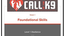 Level 1 Week 1 Foundations