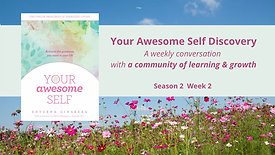Week 2 | Season 2 | Your Awesome Self Discovery Group