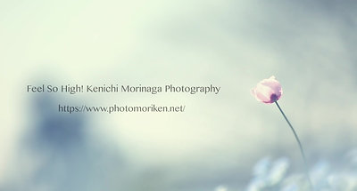 Feel So High! Kenichi Morinaga Photography