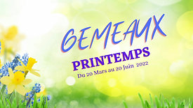 GEMEAUX PRINTEMPS 2022 - Amour, Carrière, Finances