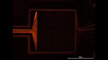 Flow into a chamber of a CellASIC ONIX2 microfluidic plate for bacterial cells
