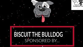 Biscuit the Bulldog sponsorship Video