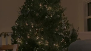 Runaway Christmas Tree Trailer