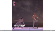 "The Tree" Carolyn Carlson @Théâtre national de Chaillot