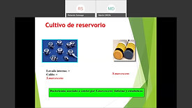 Webinars Junto al Dr  Rolando Soloaga 2da Edición   Webinar V Infecciones asociadas a catéteres