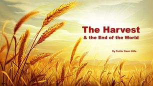 The Harvest & the End of the World