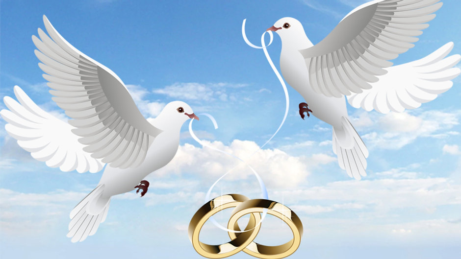 Wedding Dove Releases