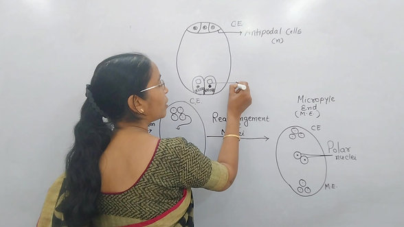 Botany Demo Lecture- Class 12