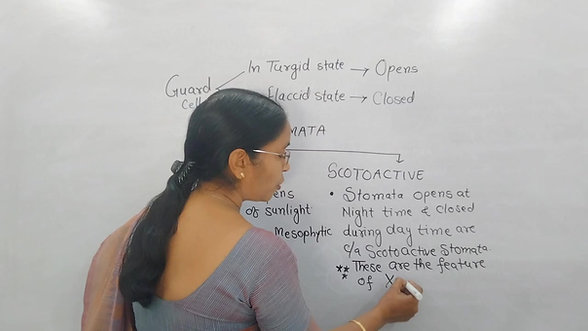 Botany Demo Lecture- Class 11