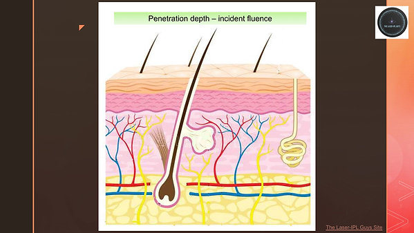 Skin - Useful penetration depth