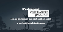 Auction Action Knockouts at Scott Daniel's