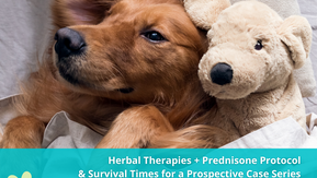 Palliating LSA with Prednisone and TCM Herbs