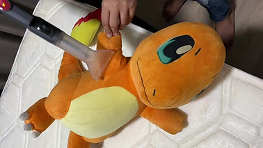 Steam Cleaning of Soft Toy