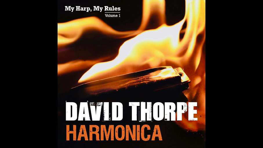 My harp, My rules. David Thorpe Harmonica promo