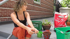 Small Space Container Gardening
