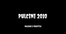 Pulcini 2010
