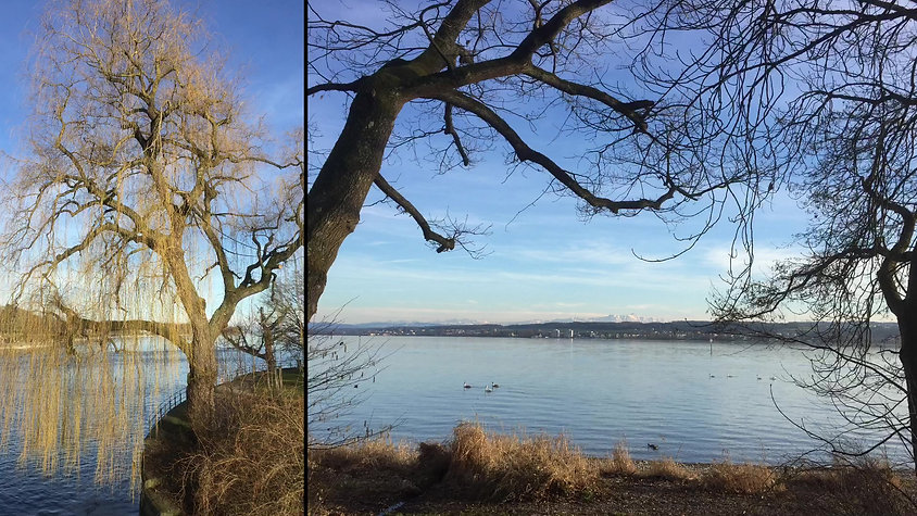 Out and About By Lake Constance (Bodensee)