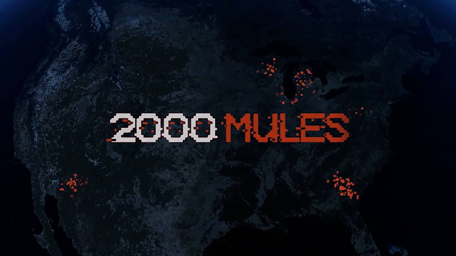 2000 Mules Full Movie