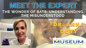 Meet the Expert: Dr. Anna Doty, Biology