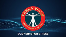 TESLA WAVE BODY SIMS FOR STRESS