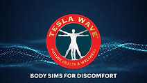 TESLA WAVE BODY SIMS FOR DISCOMFORT