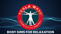 TESLA WAVE BODY SIMS FOR RELAXATION