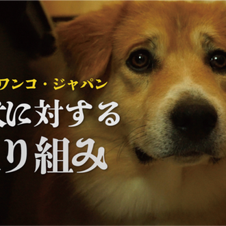 ピースワンコ 生駒譲渡センター 保護犬の里親募集 奈良県
