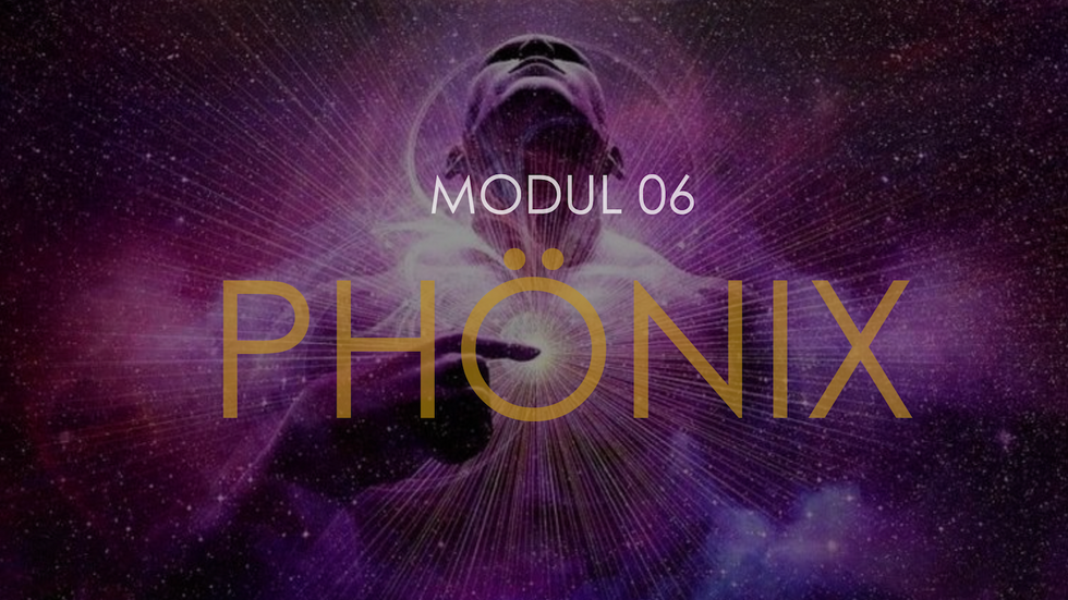 Phönix | Modul 06