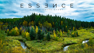 Essence: A Ness Creek Story