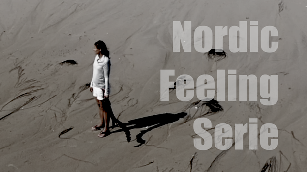 nordic feeling