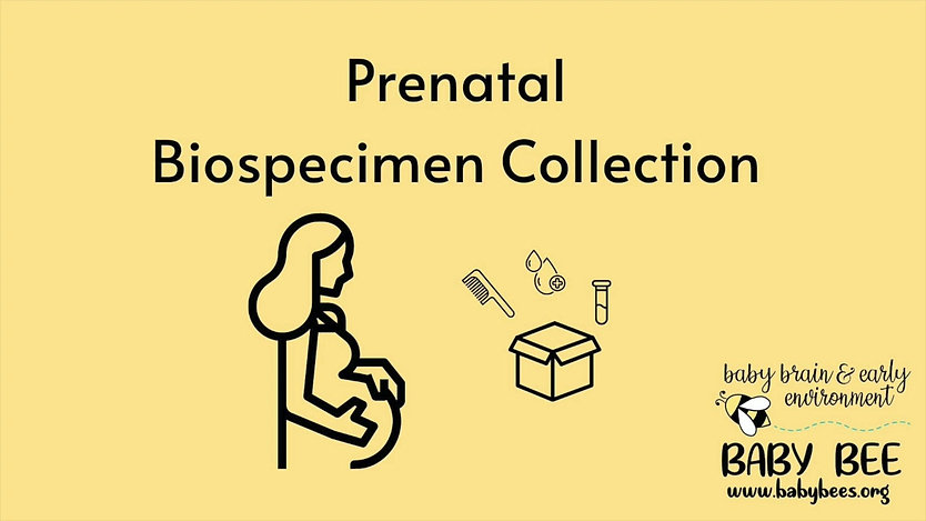 Prenatal Biospecimen Collection