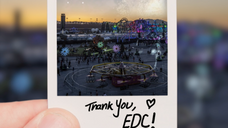 EDC Polaroid