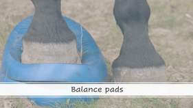 Balance pads 