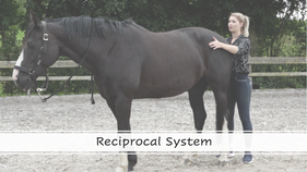 Reciprocal System