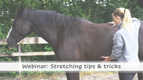 Webinar: Stretching tips and tricks