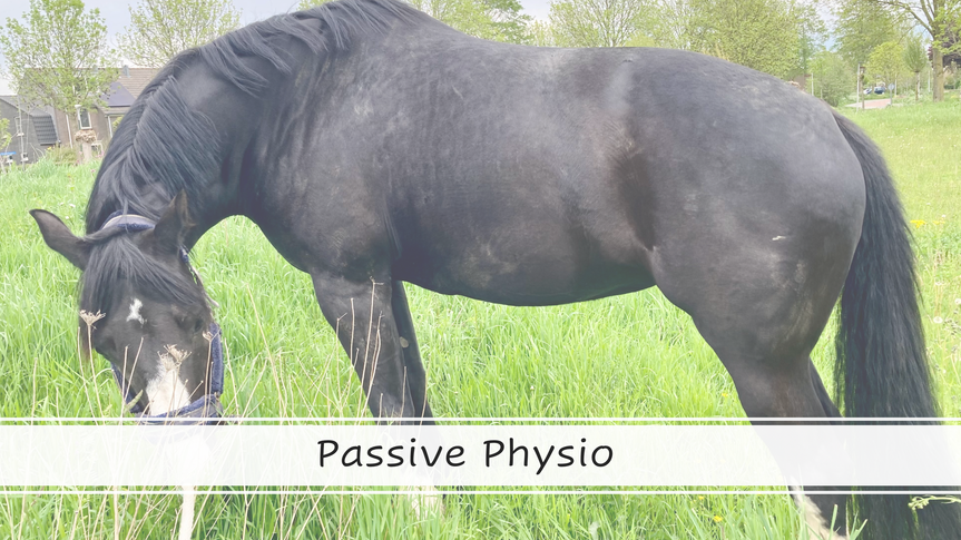 Passive Physio