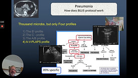 6.6. BLUE-protocol & pneumonia_ARDS
