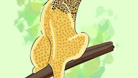Leopard Illustration