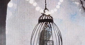 Owl in Cage