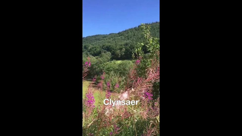 Clynsaer Video Tour 1 2