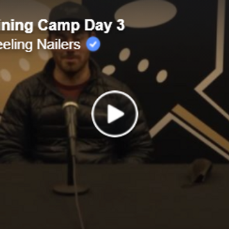 Wheeling Nailers' Drevitch making a difference on and off the ice