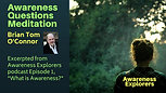 Awareness Questions Meditation - from Awareness Explorers Episode 1
