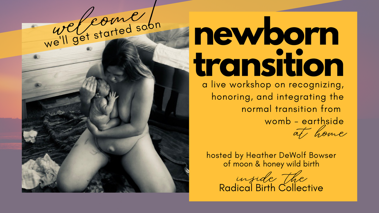 Newborn Transition Workshop