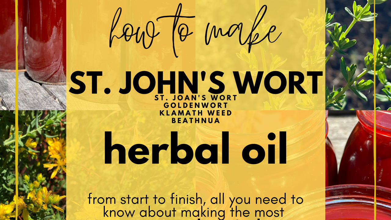 St. John's Wort Herbal Oil Making Workshop