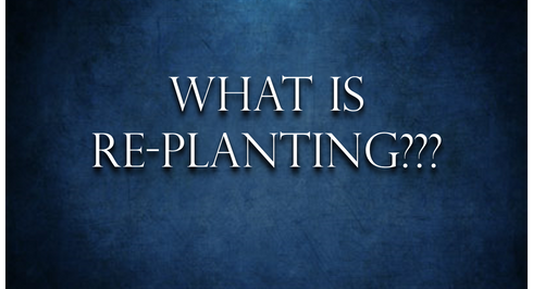 What is re-planting and why would you do it?