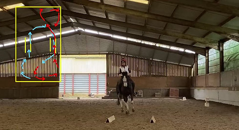 Training Video - Counter Canter 5m loop