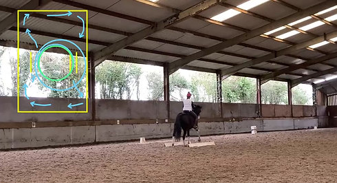 Training Video - 5 loop with circles (Canter)